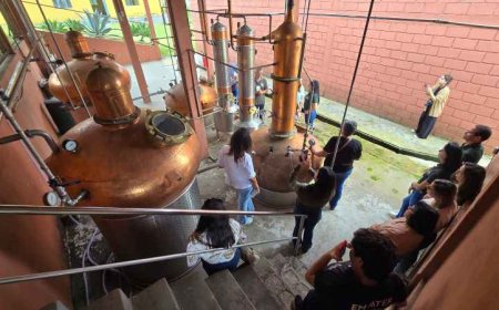 Emater-MG auxilia produtores a transformar propriedades rurais em destinos turísticos