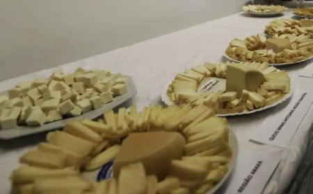 Brasil começa a importar queijo mais barato após acordo Mercosul e UE